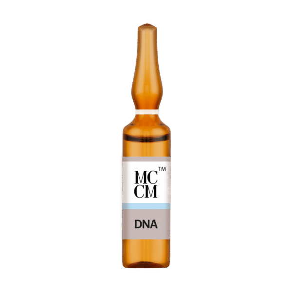 DNA - Imagen 2